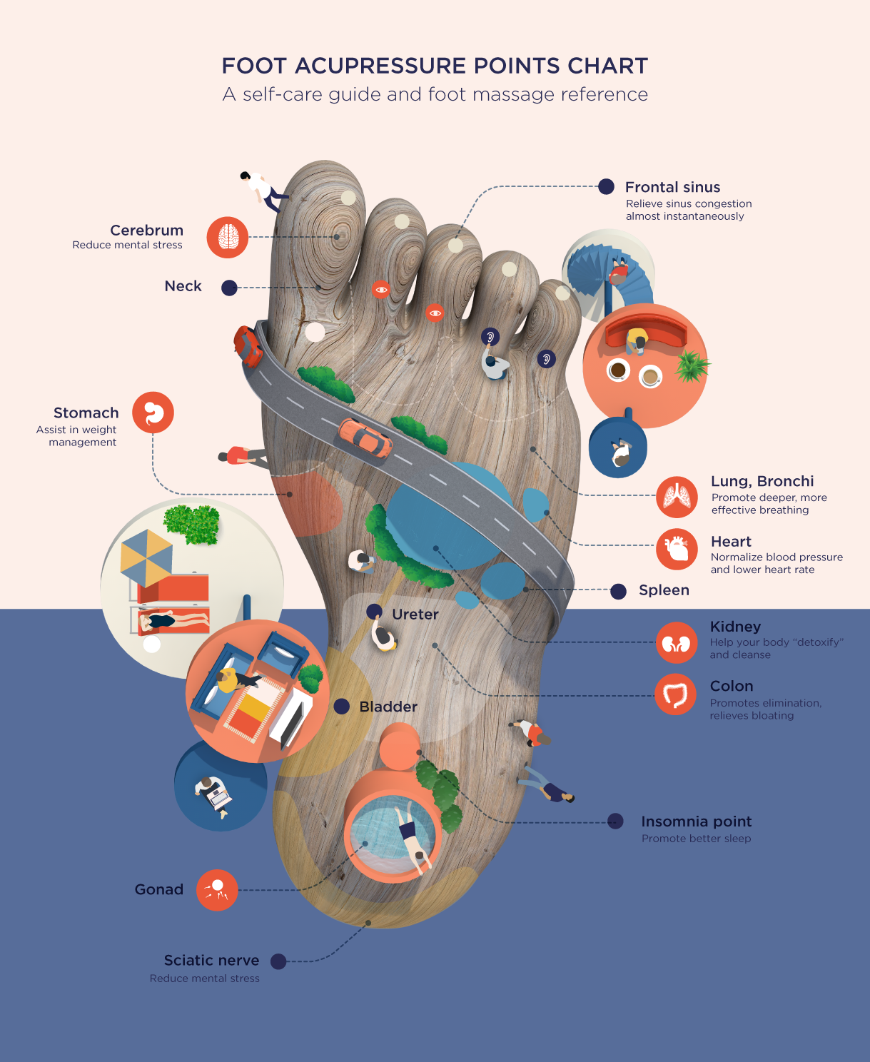 Foot Acupressure Points Chart